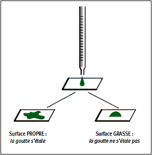 Zone de Texte:  