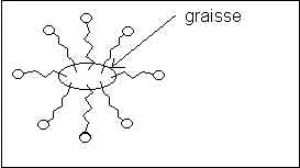 wpe17.jpg (5317 octets)